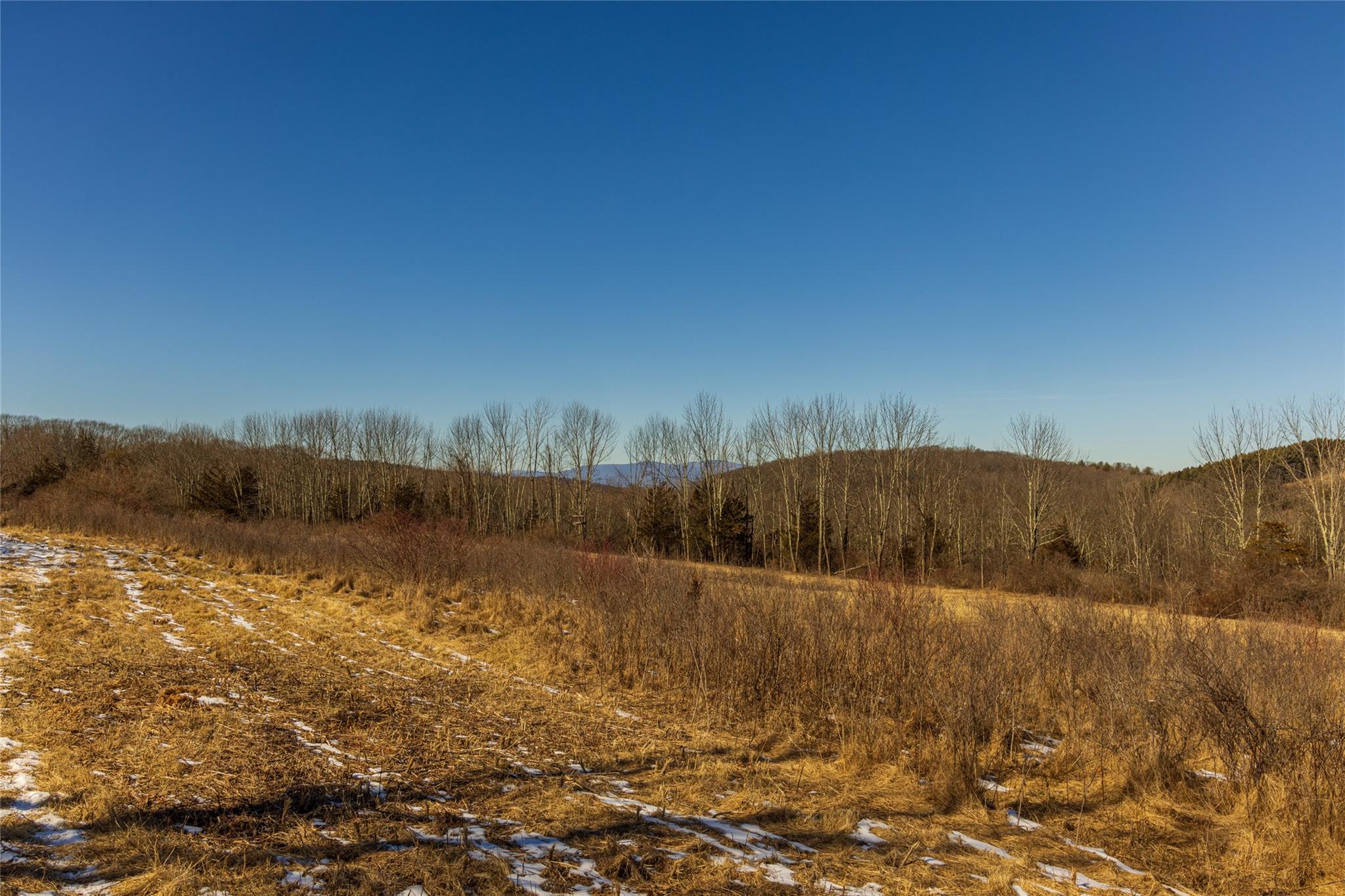 State Route 199 Road, Red Hook, New York image 37