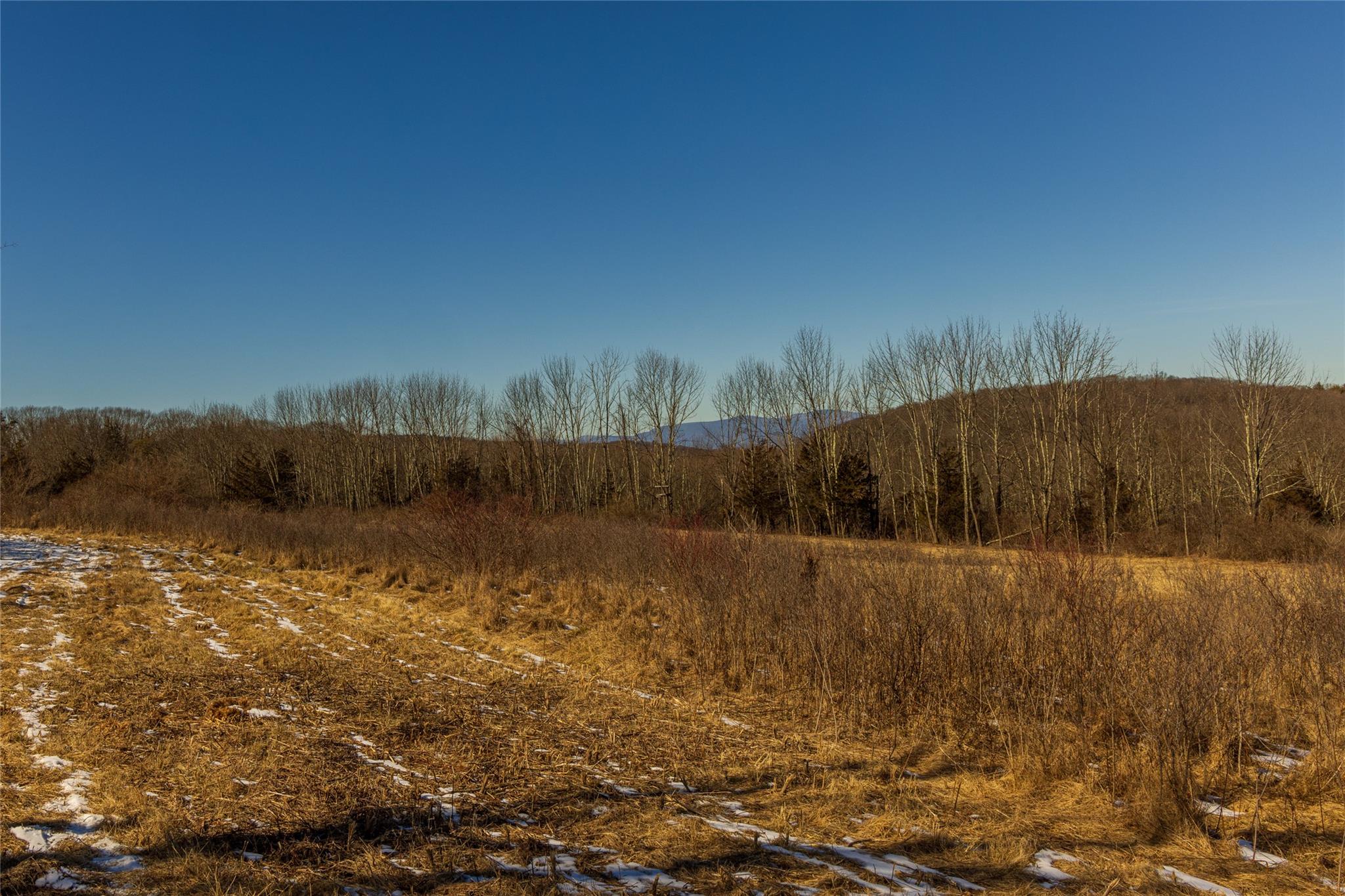 State Route 199 Road, Red Hook, New York image 38