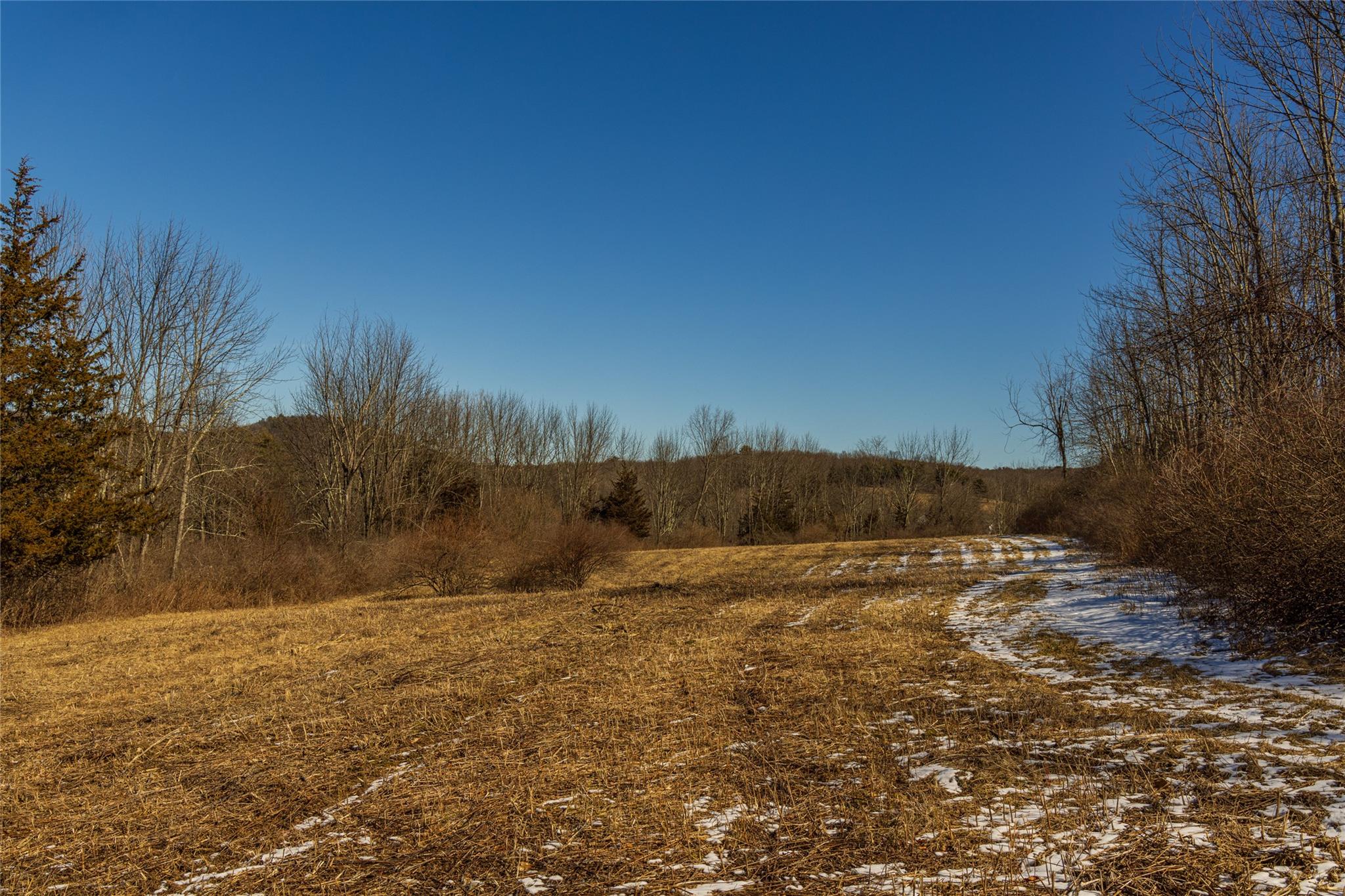 State Route 199 Road, Red Hook, New York image 4