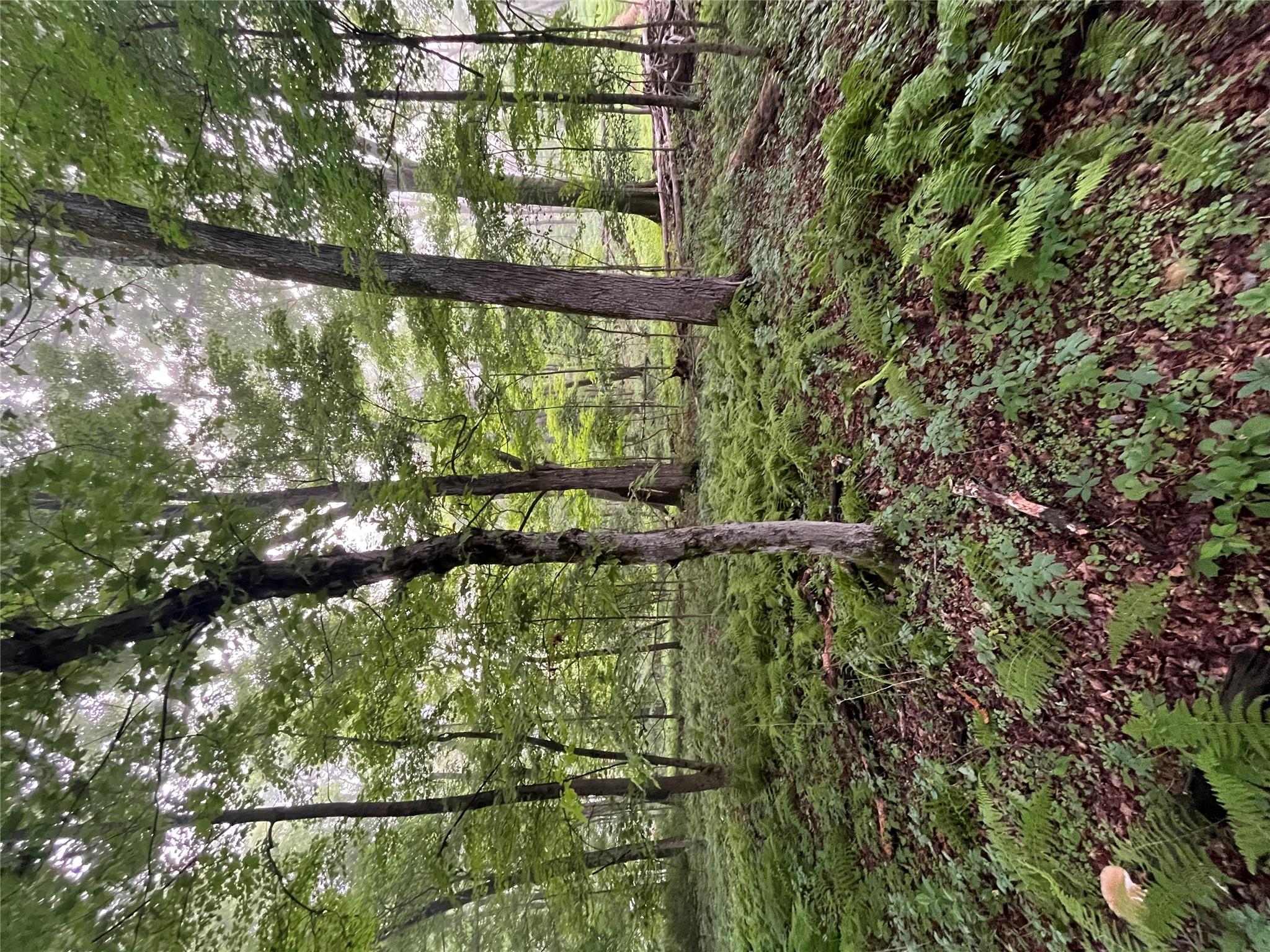 Pine Hill Road, Pleasant Valley, New York image 5