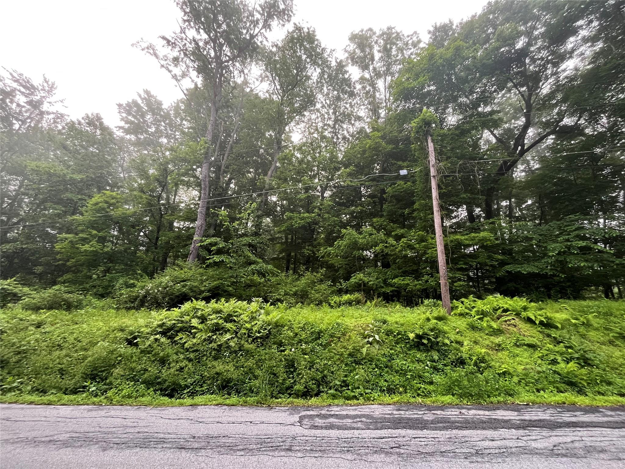 Pine Hill Road, Pleasant Valley, New York image 1