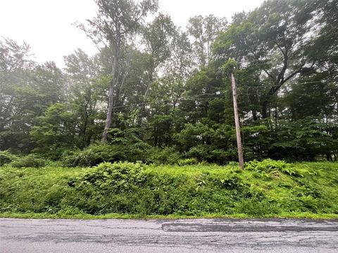 Pine Hill Road Pleasant Valley NY 12569