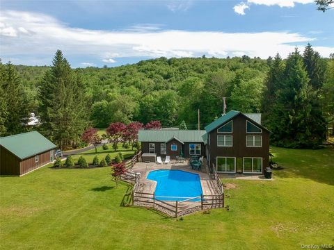 Homes For Sale - 7775 State Route 55<br/> Neversink, NY 12765