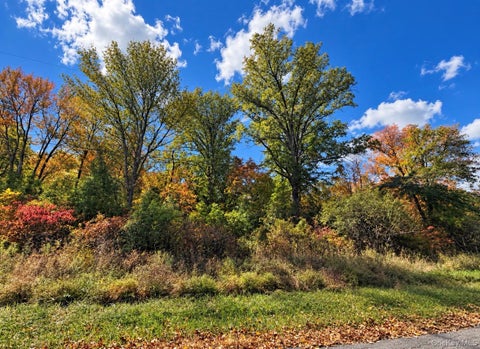 Photo for Rutsonville Road