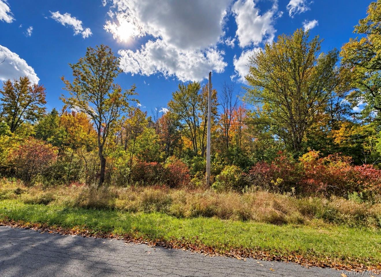 Rutsonville Road