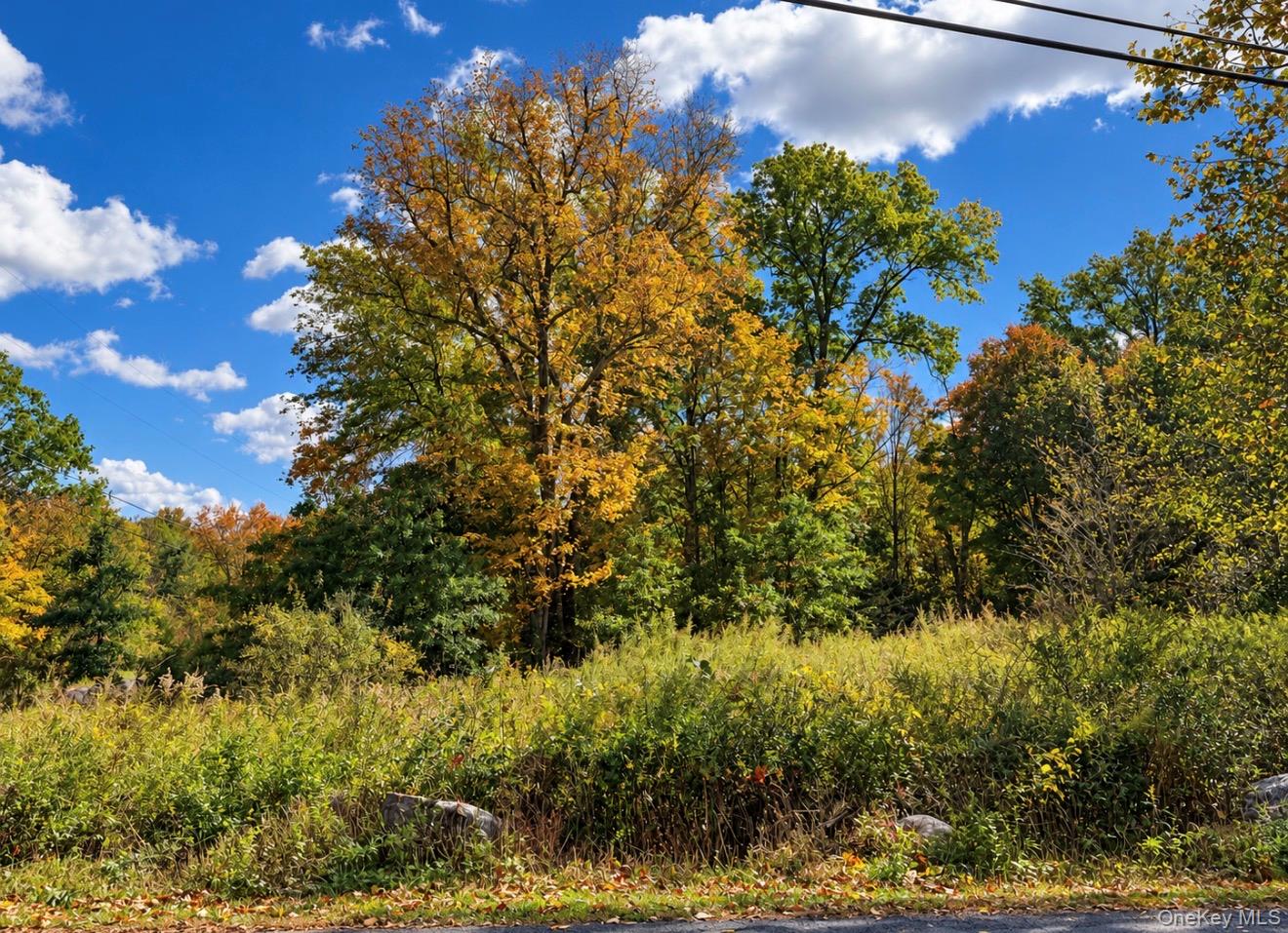Rutsonville Road