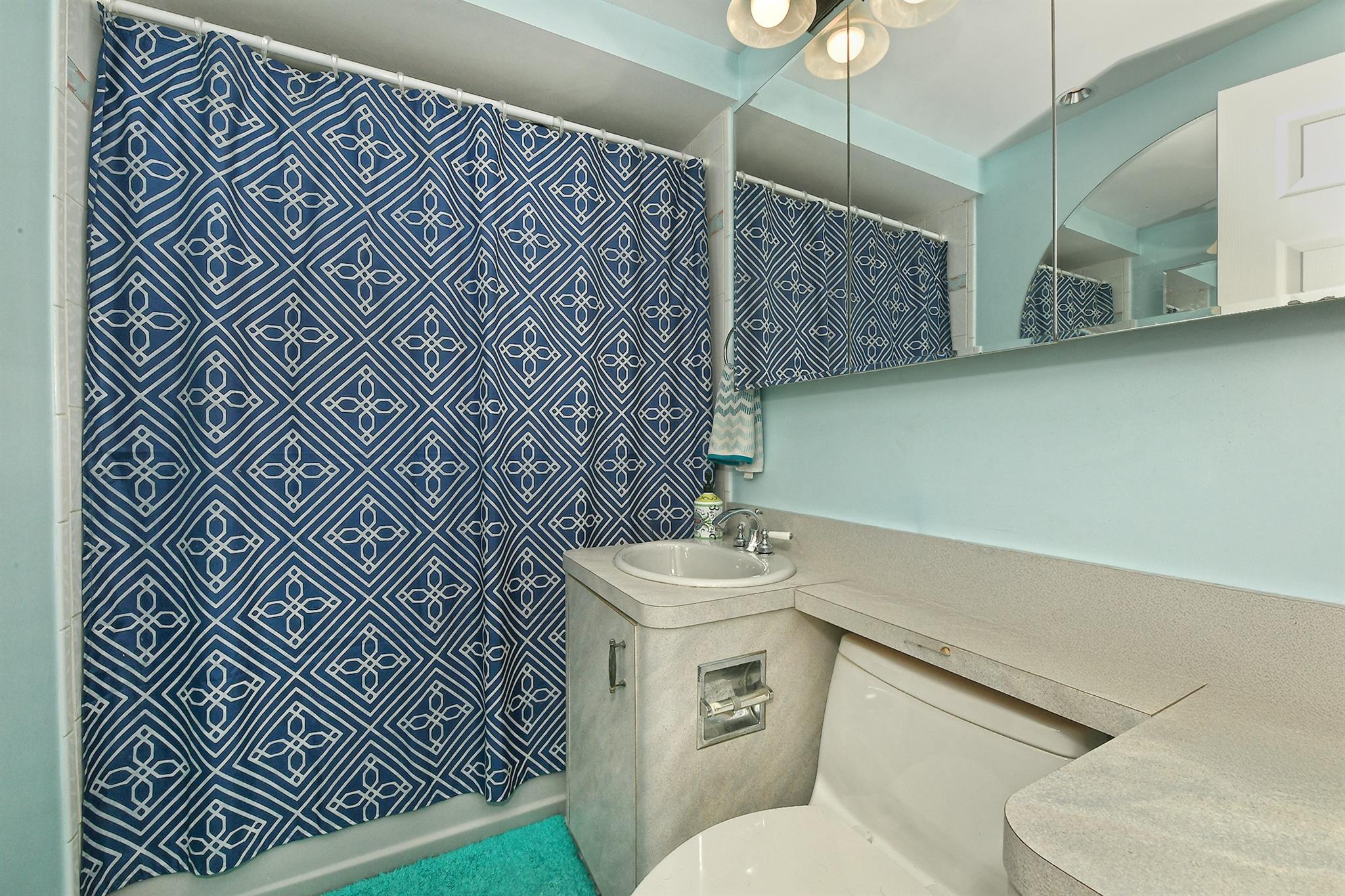 265 Orchid Road, Levittown, New York image 9