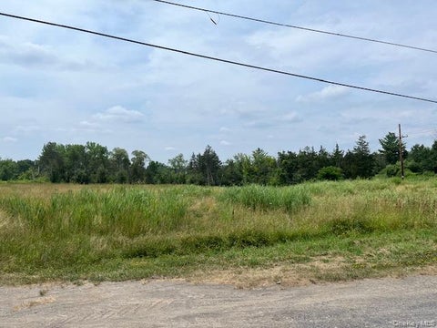 Vacant Land For Sale - Pulcher Avenue<br/> Columbia County, Hudson, NY 11944