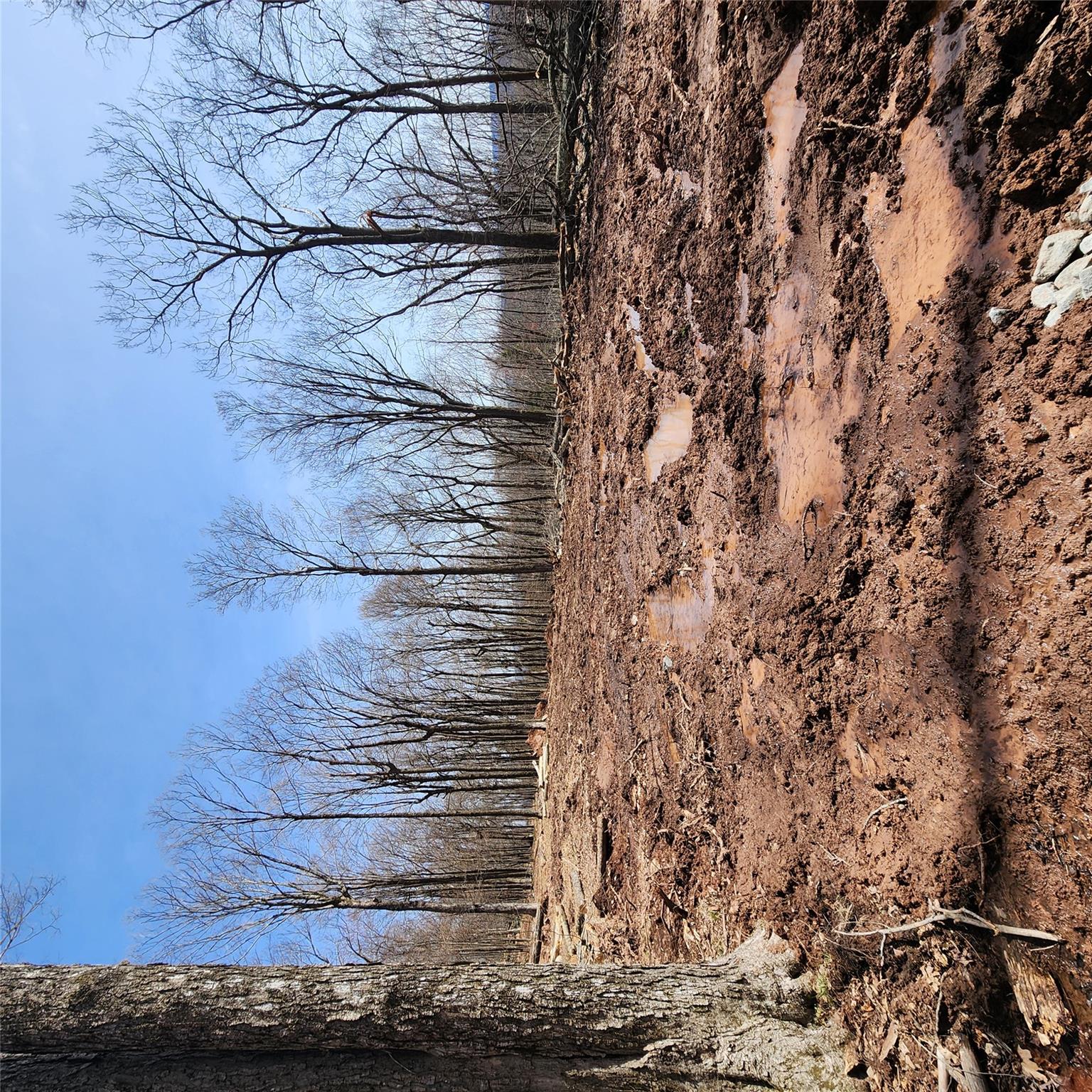 Skyline Drive, Woodbourne, New York image 4