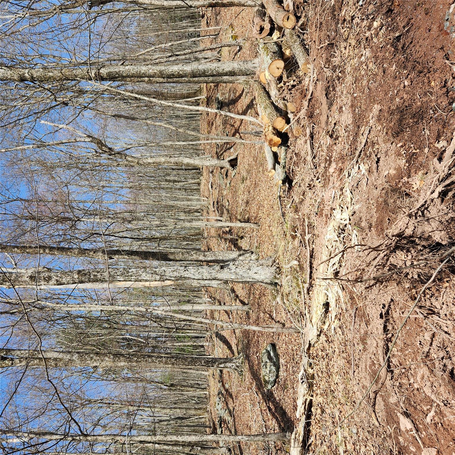 Skyline Drive, Woodbourne, New York image 6