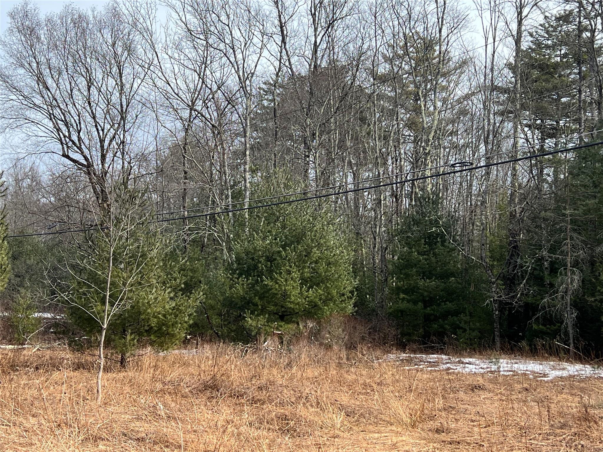 Martinfeld Road, Greenfield Park, New York image 2