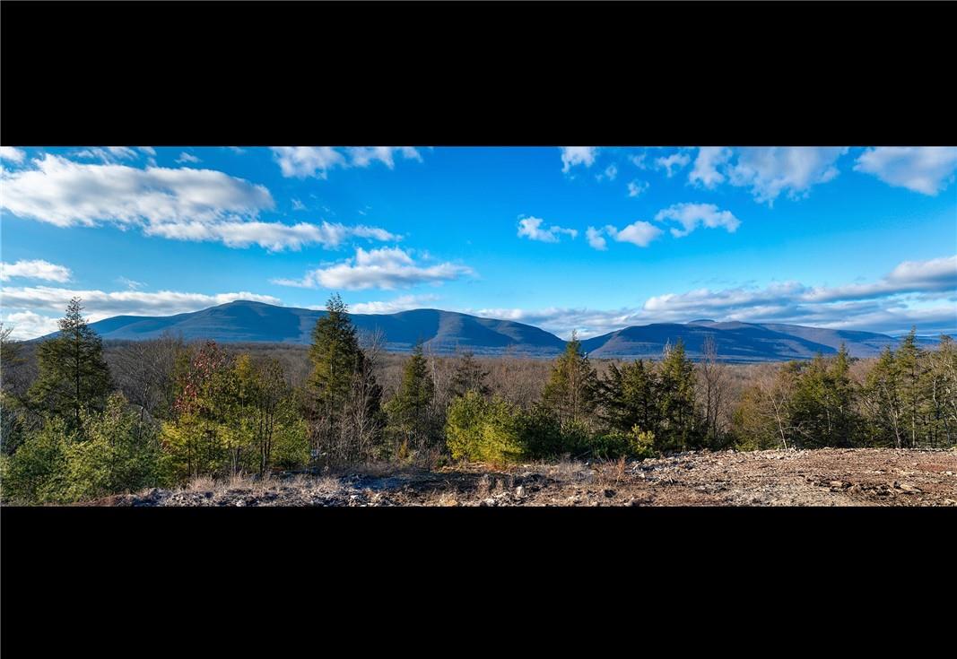 0 Lot Fish Creek, Saugerties, New York image 2