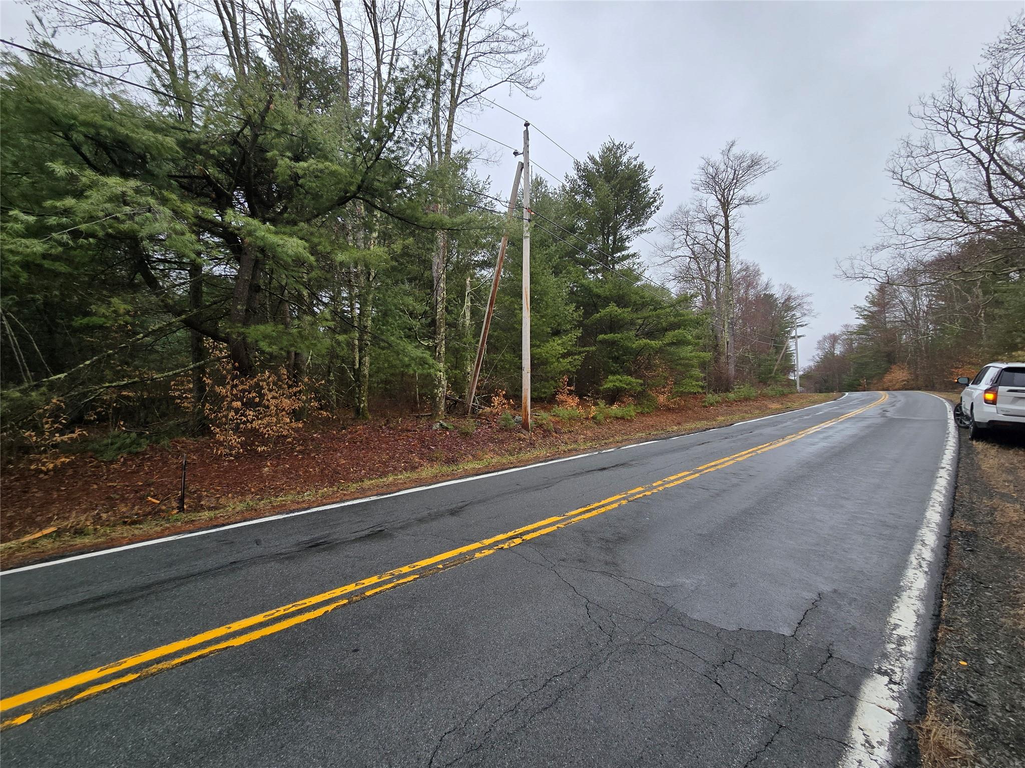 Cold Spring Road, Forestburgh, New York image 5