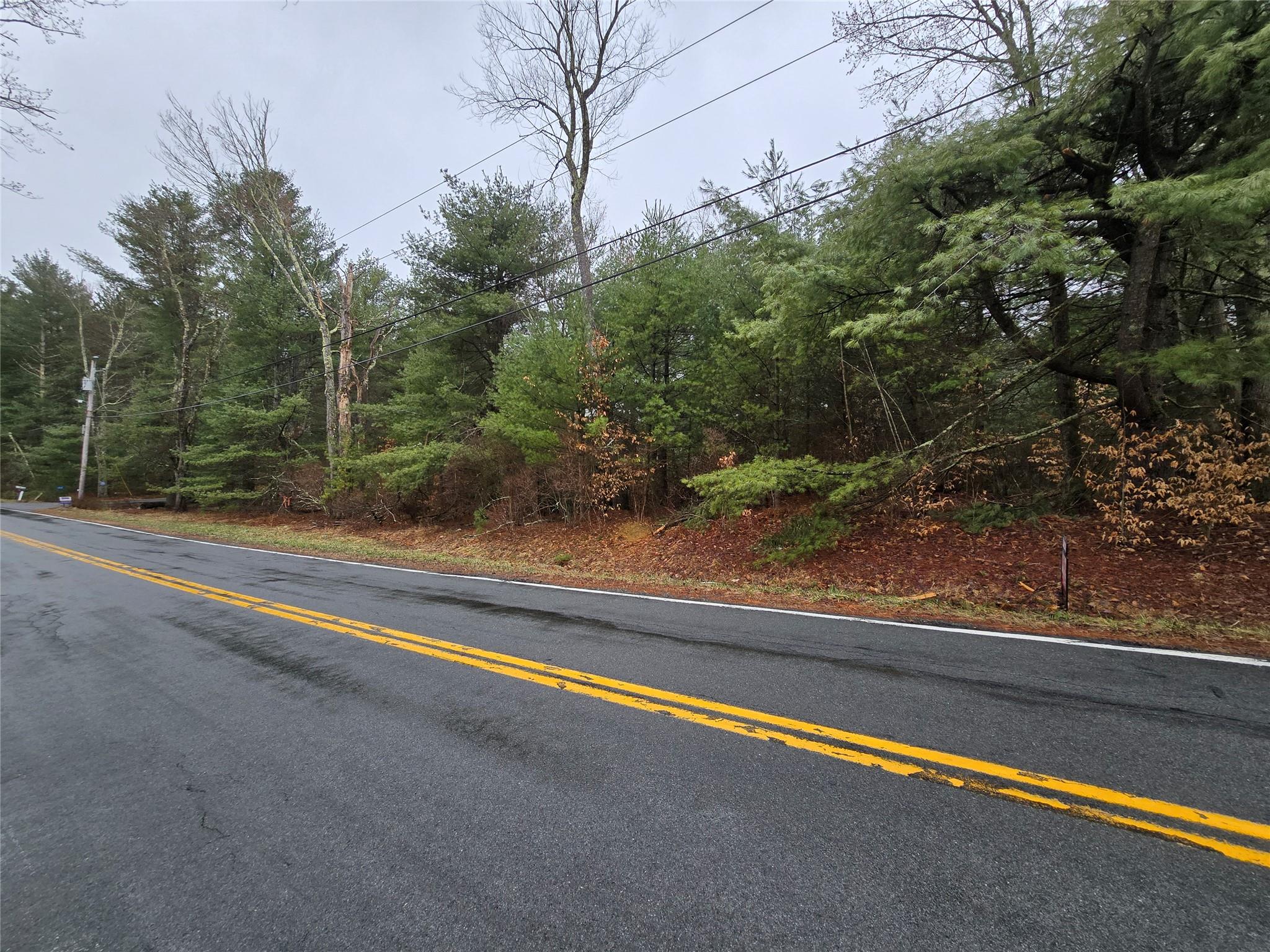 Cold Spring Road, Forestburgh, New York image 1
