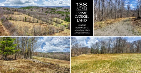 Vacant Land For Sale - Frank Slawson Road<br/> Davenport, NY 13820