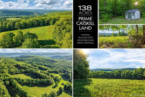 Vacant Land For Sale - Frank Slawson Road<br/> Davenport, NY 13820