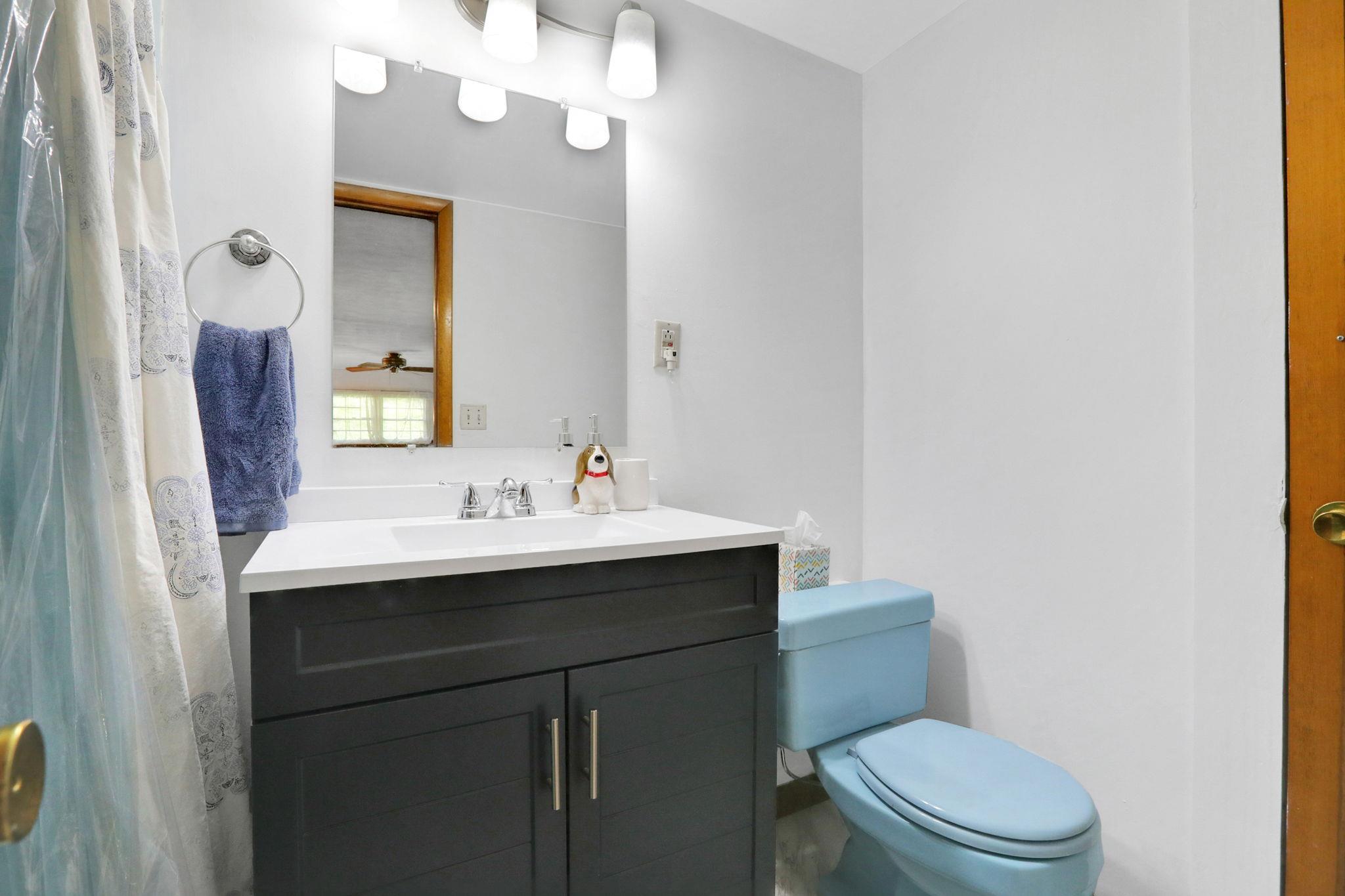 33 Greentree Drive, Hyde Park, New York image 35