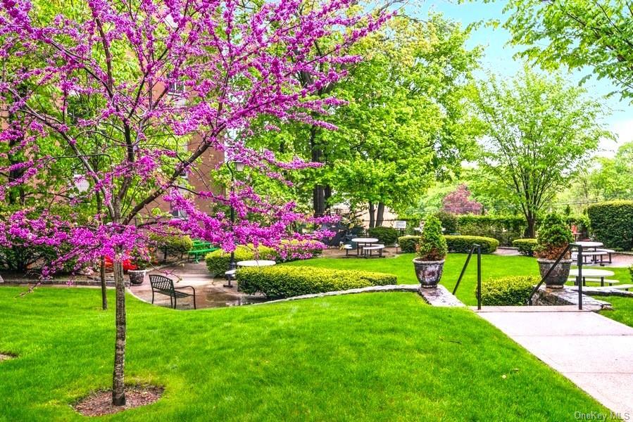 90 Bryant Avenue #F-3D, White Plains, New York image 5