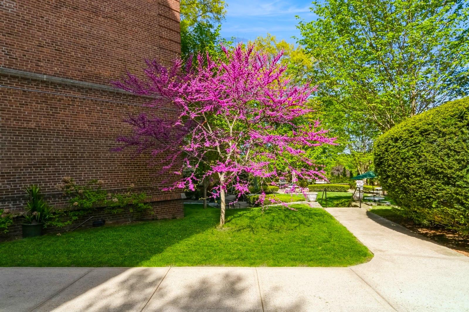 90 Bryant Avenue #F-3D, White Plains, New York image 6