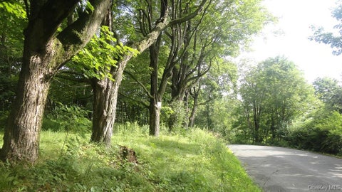Vacant Land For Sale - Henry Road<br/> Cragsmoor, NY 12420