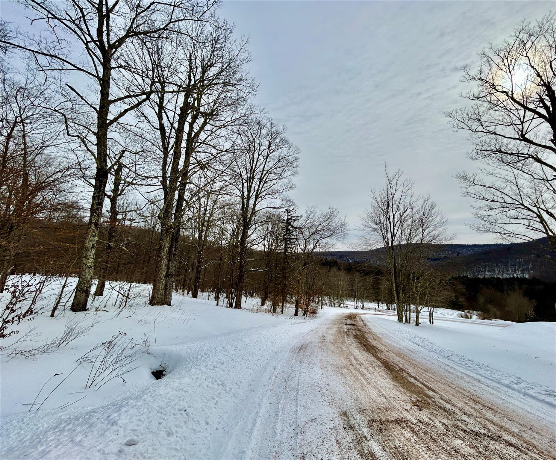 TBD High Meadow Road, Lew Beach, New York image 15