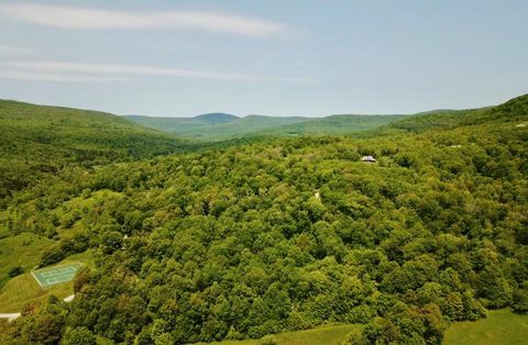 Vacant Land For Sale - TBD High Meadow Road<br/> Ulster County, Lew Beach, NY 12758