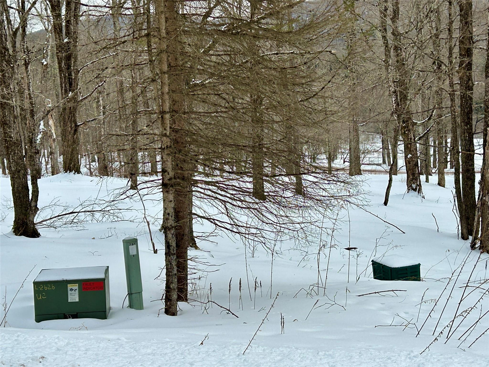 TBD High Meadow Road, Lew Beach, New York image 8