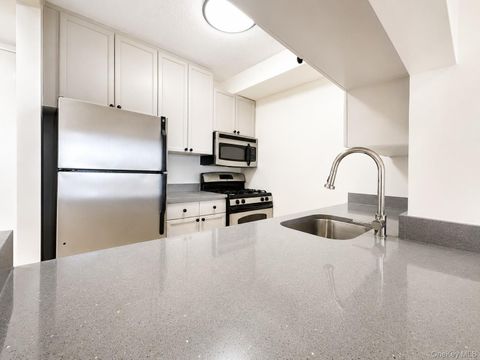 4-74 48th Avenue 30J Long Island City NY 11109