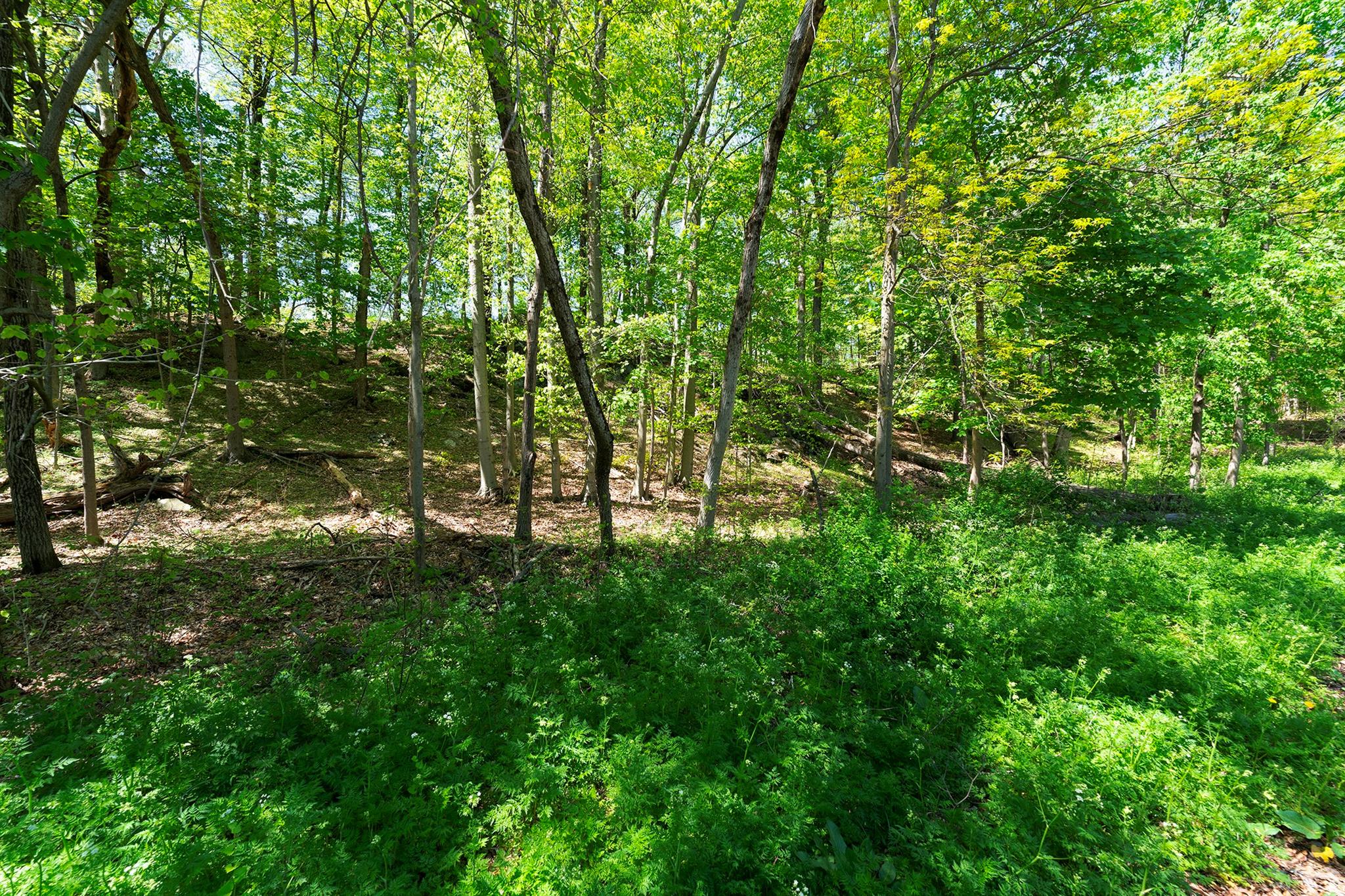 Hyde Park, New York 12538, United States, 1 Bedroom Bedrooms, ,1 BathroomBathrooms,Residential,Active,130266