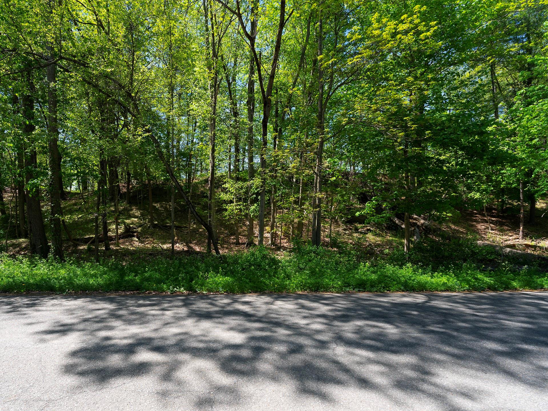 Hyde Park, New York 12538, United States, 1 Bedroom Bedrooms, ,1 BathroomBathrooms,Residential,Active,130266