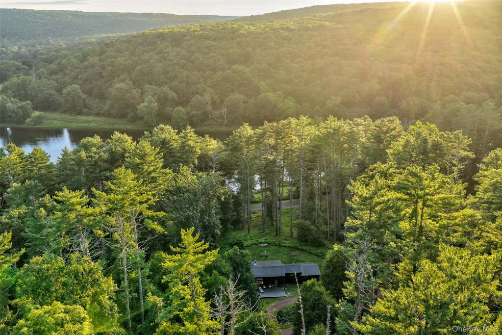 Photo of 151 Hankins Road, Narrowsburg, NY 12764 (MLS # 1039747)