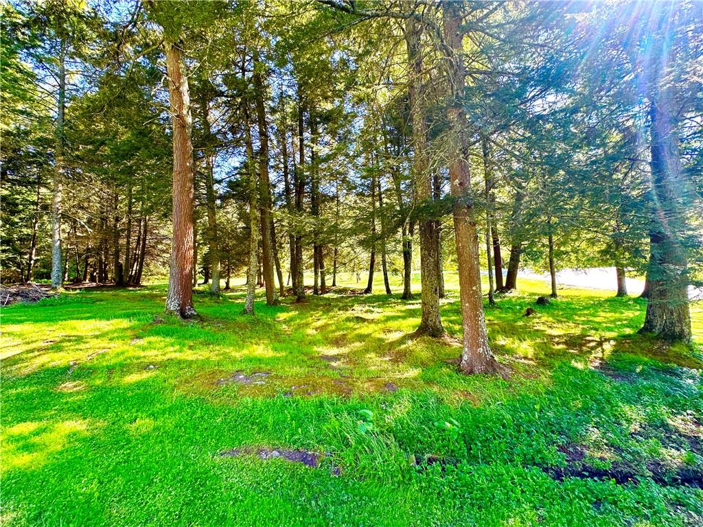 12 Mesmer Hill Road, Callicoon, New York image 17