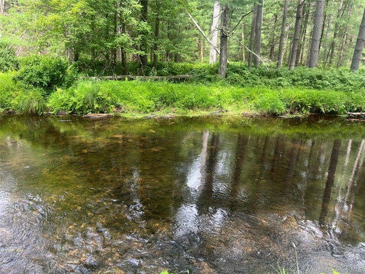 27 WOODS RD, YULAN, NY 12792 - Image 37988fbbc7c8888fabd9669dfd04ac9b/3917291258