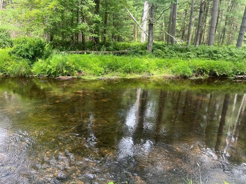 Vacant Land For Sale - 27 Woods Road<br/> Yulan, NY 12792