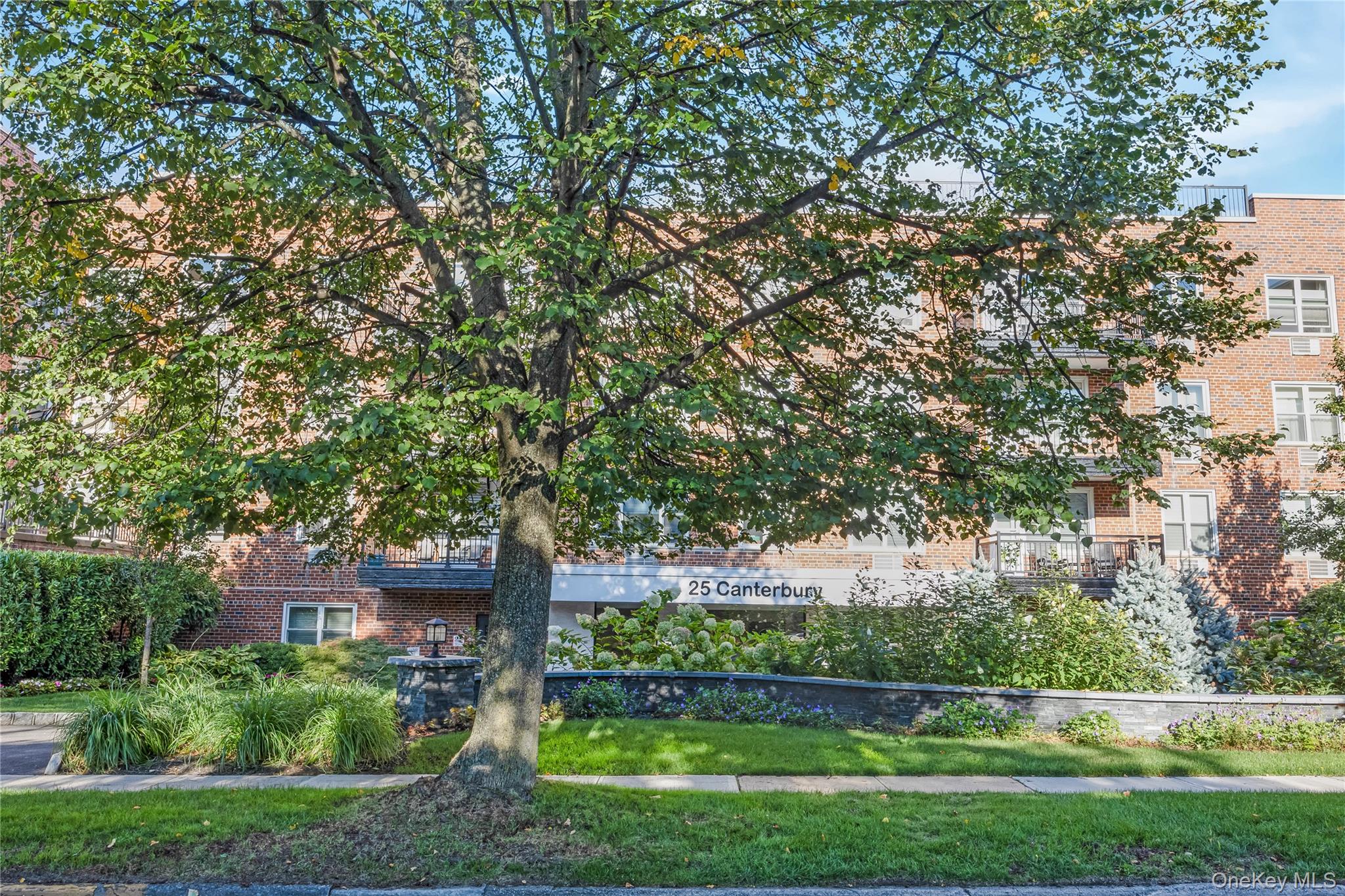 25 Canterbury Road 3F