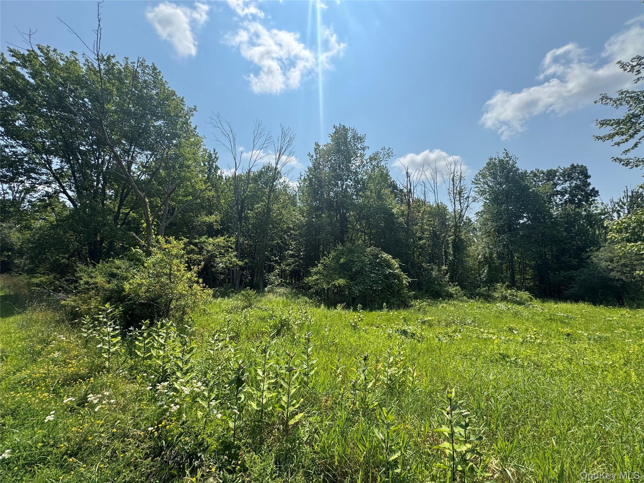 114 Highland Lake Road