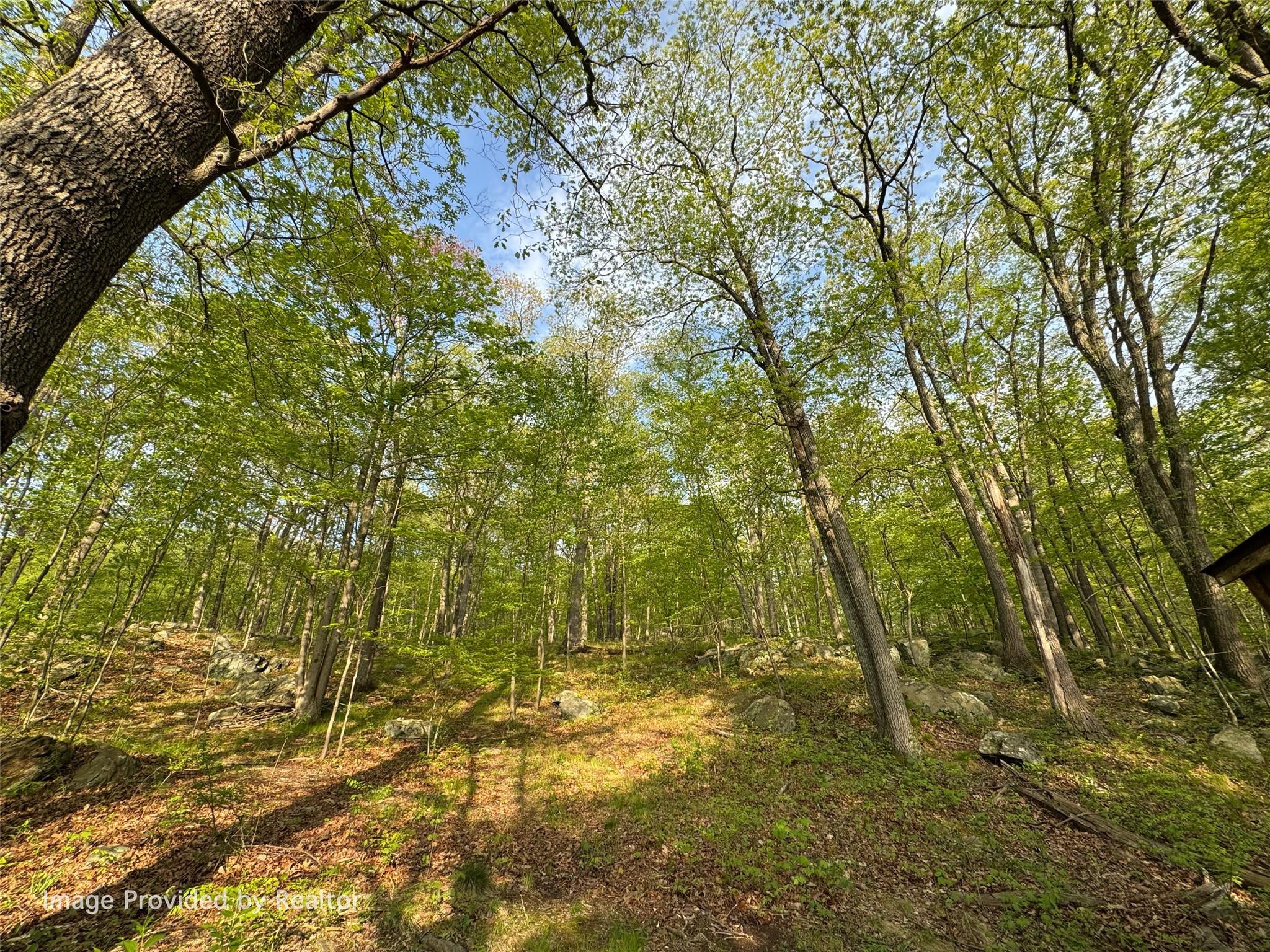 456 Oscawana Lake Road, Putnam Valley, New York image 26