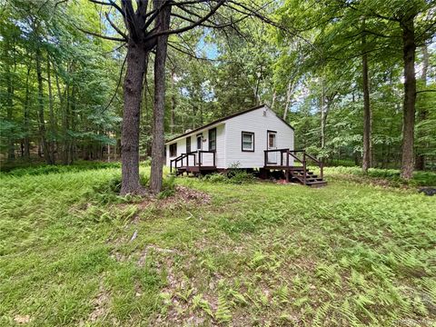 Vacant Land For Sale - 34 Newman Road<br/> Sullivan County, Pond Eddy, NY 12770