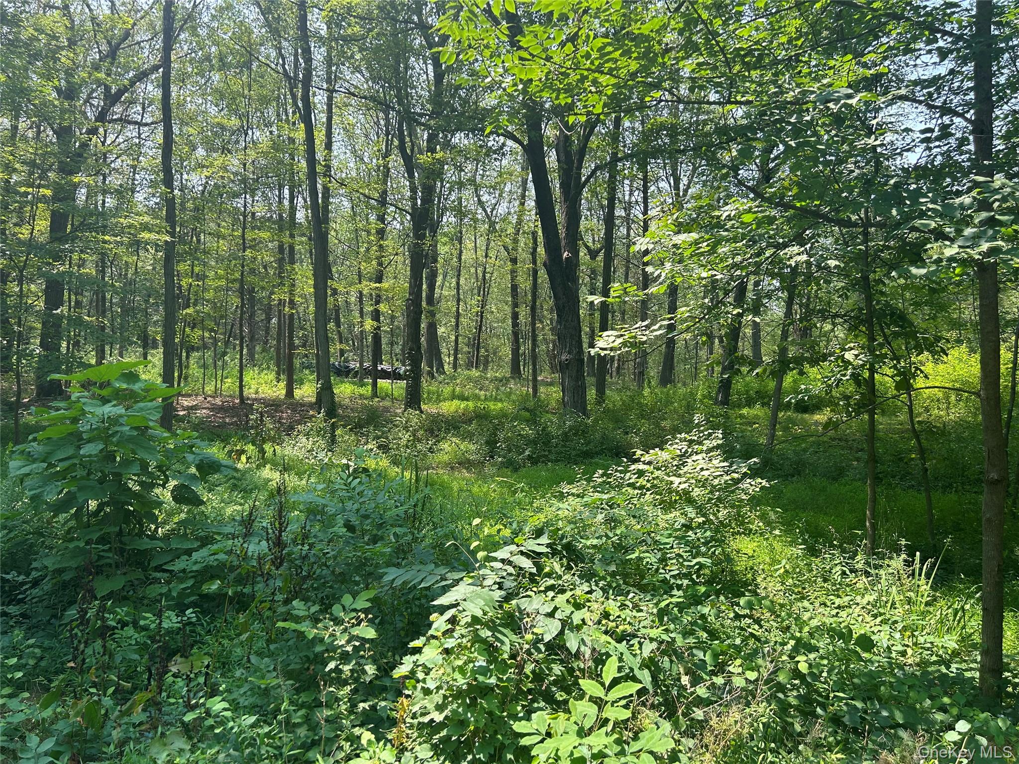 White Schoolhouse Road