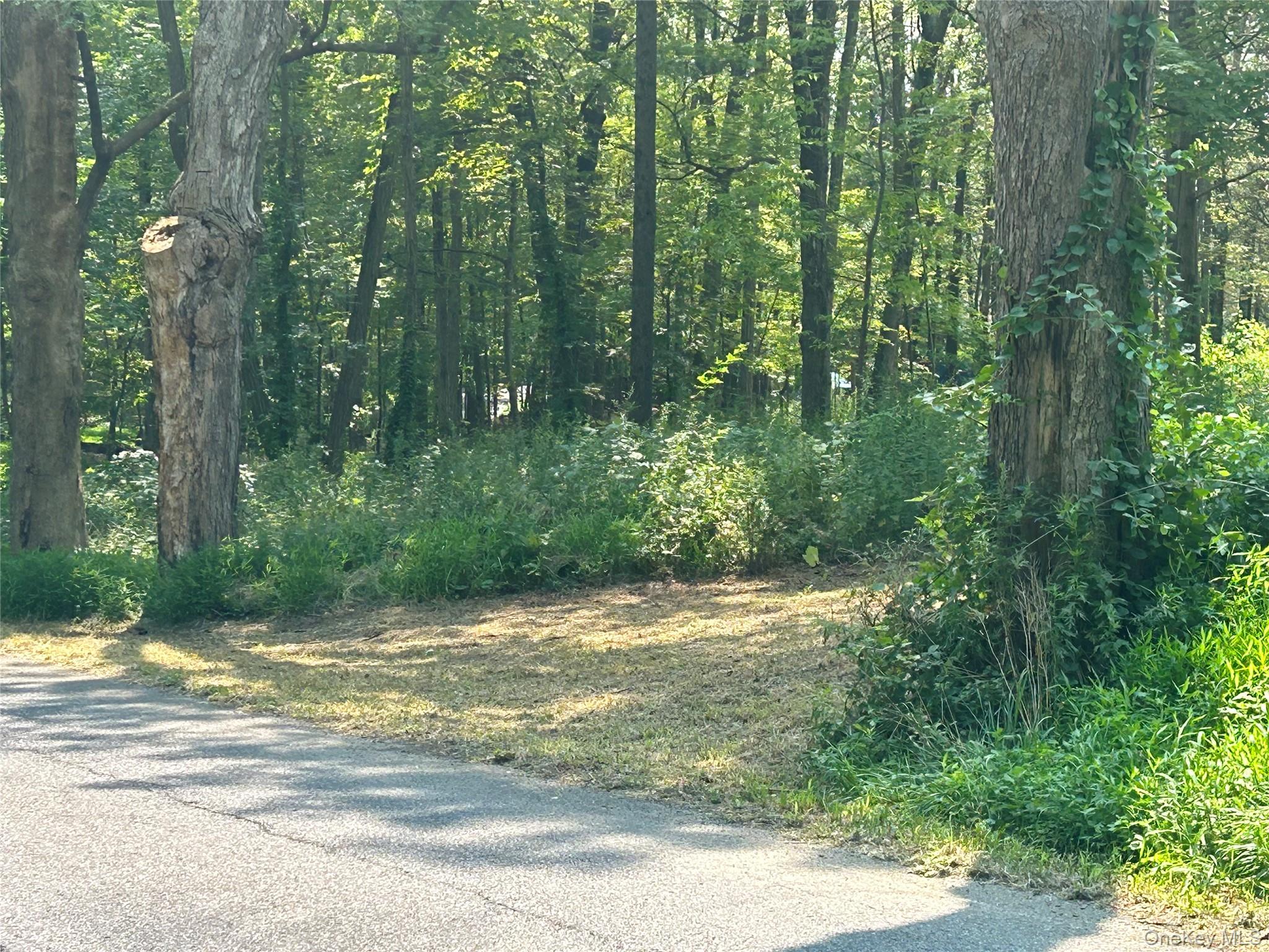 White Schoolhouse Road