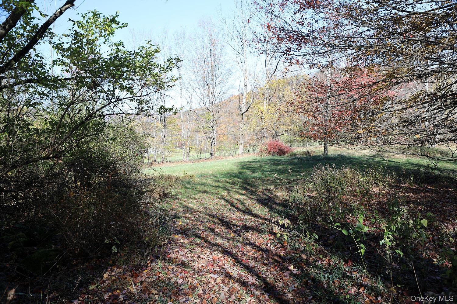 Blackberry Lake Road