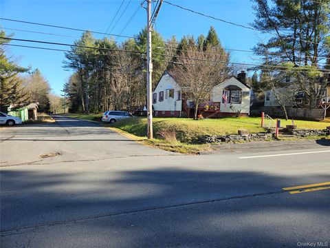 3624 State Route 55 Kauneonga Lake NY 12720