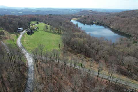 Homes For Sale - 299-301 Stump Pond Road<br/> Sullivan County, Livingston Manor, NY 12758