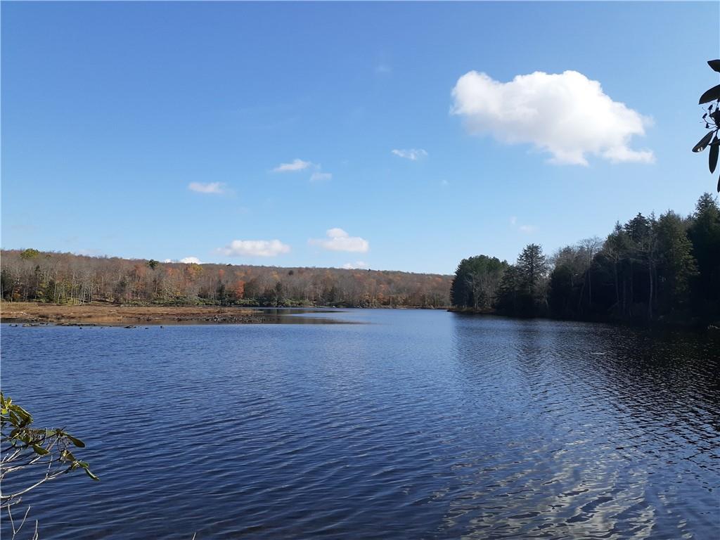 351 White Roe Lake Road