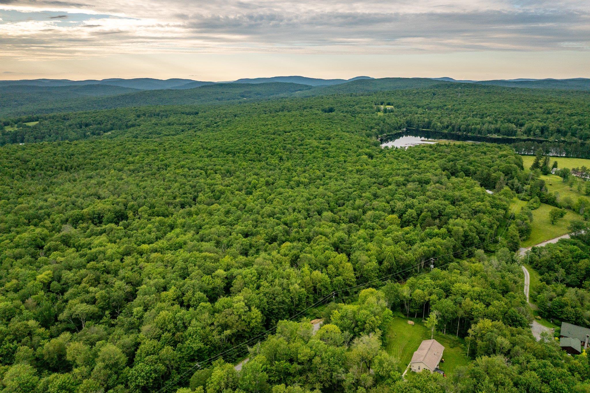 351 White Roe Lake Road