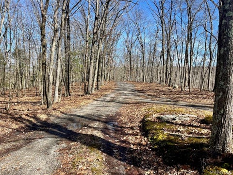 Vacant Land For Sale - Greenville Turnpike<br/> Port Jervis, NY 12771