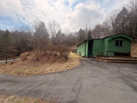 Mobile Home For Sale - 461 Back Shandelee Road<br/> Livingston Manor, NY 12758