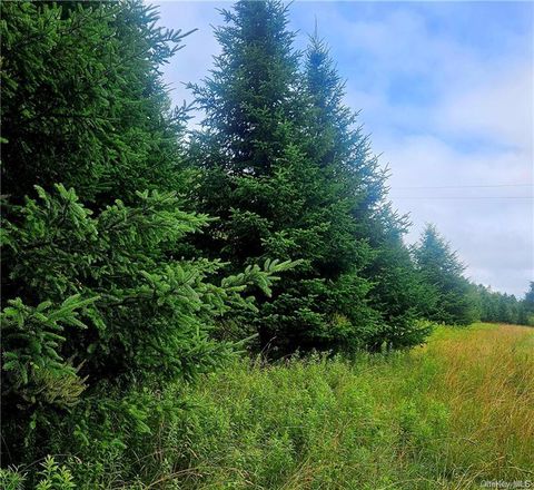 Vacant Land For Sale - 4861 Swiss Hill<br/> Jeffersonville, NY 12748