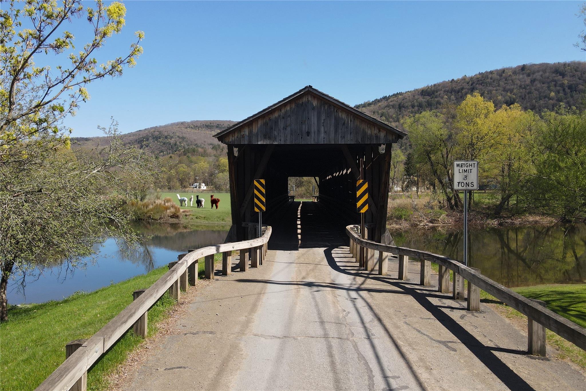 69 Bridge Street, Downsville, New York image 22