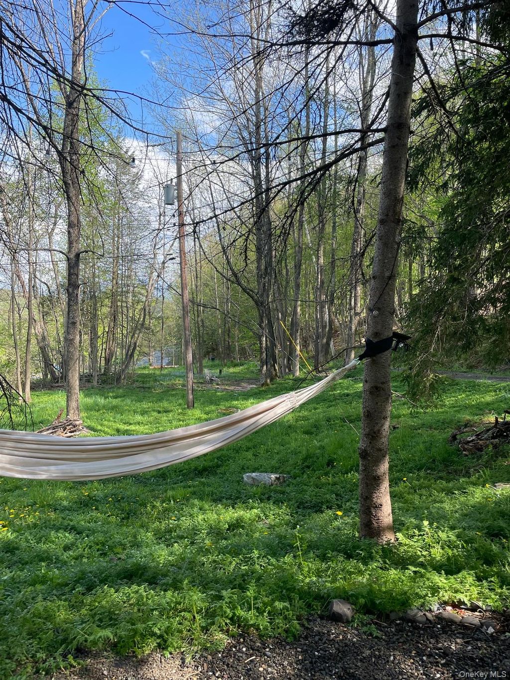 Photo of 161 PINE HILL Road, Shandaken, NY 12465 (MLS # 945447)